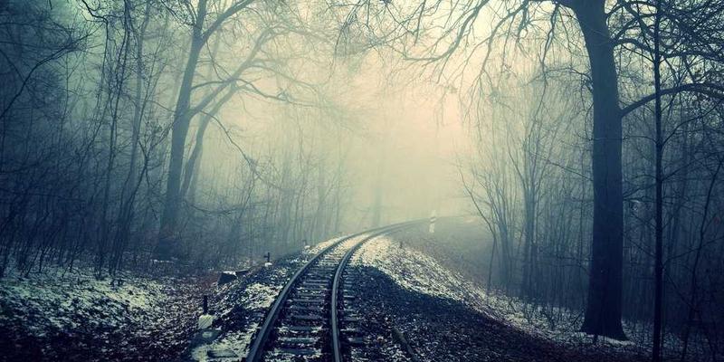 河北天丰钢铁产品线深度解析:从螺纹钢到线材,如何选择适配的钢材?