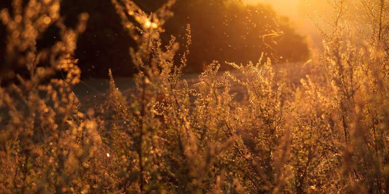 河北天丰钢铁的数字化转型之路：智能制造如何重塑钢材销售与产品竞争力